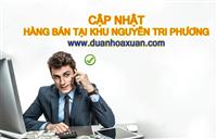 CẬP NHẬT DANH SÁCH HÀNG ĐANG BÁN TẠI KHU NGUYỄN TRI PHƯƠNG